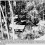 nst-20000212-limaumanis-colony.png