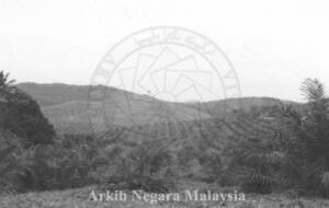 PEMANDANGAN LADANG PRANG BESAR (GOLDEN HOPE), 43000 KAJANG, SELANGOR, 15/11/1994