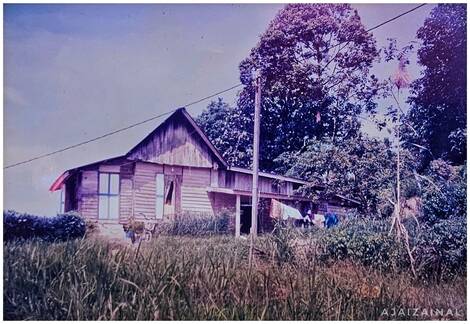 Sebuah Rumah Di Tebing Bukit
