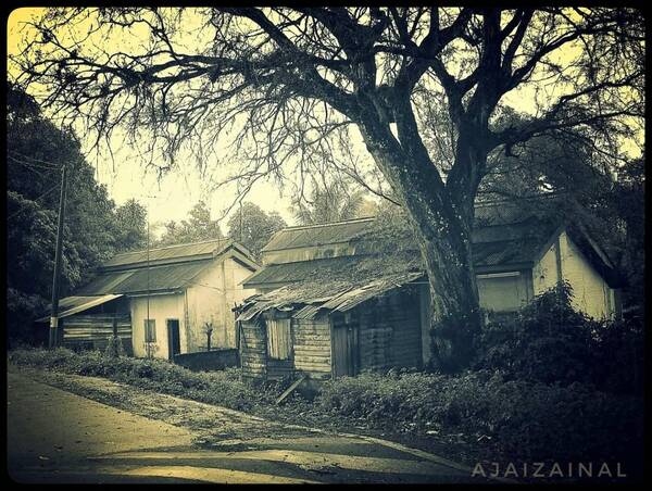 Kuarters KTM Bangi & Pohon Asam Jawa - 1905