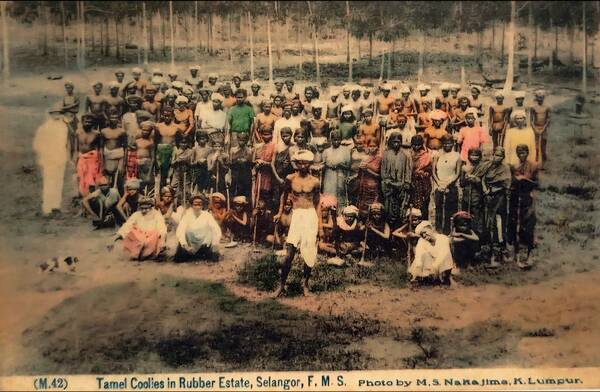 Bangi dikelilingi 3 buah estet besar Bangi dikelilingi 3 buah estet besar