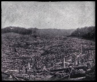 Bangi Estate, 1905 (gambar asal)