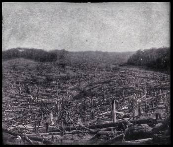 Bangi Estate, 1905 (gambar asal)