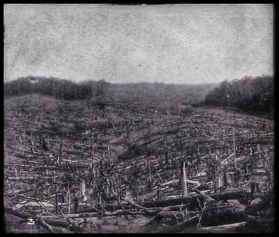 Bangi Estate, 1905 (gambar asal) Bangi Estate, 1905 (gambar asal)