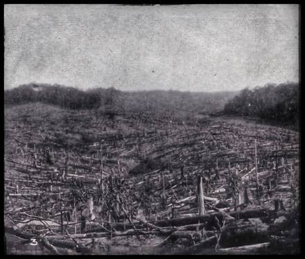 Bangi Estate, 1905 (gambar asal) Bangi Estate, 1905 (gambar asal)