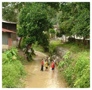 Foto Tahun 2003, lokasi belakang rumah Pak Long Musa, berdekatan rumah Cik Iti dan Masjid Bangi.