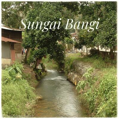 Sungai Bangi, 1990-an