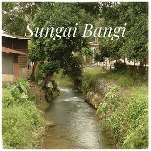 Sungai Bangi, 1990-an