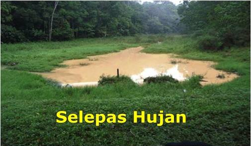 tasikghazali-2014-selepashujan.png tasikghazali-2014-selepashujan.png