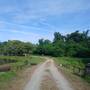 20250601_085721.jpg