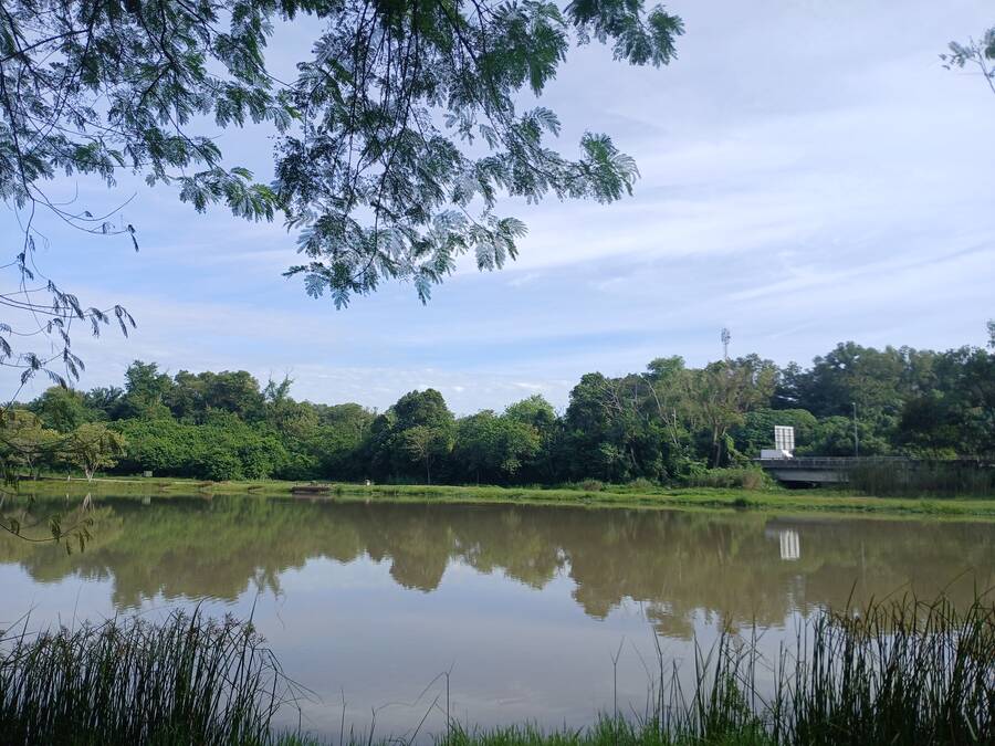 20250601_090838.jpg