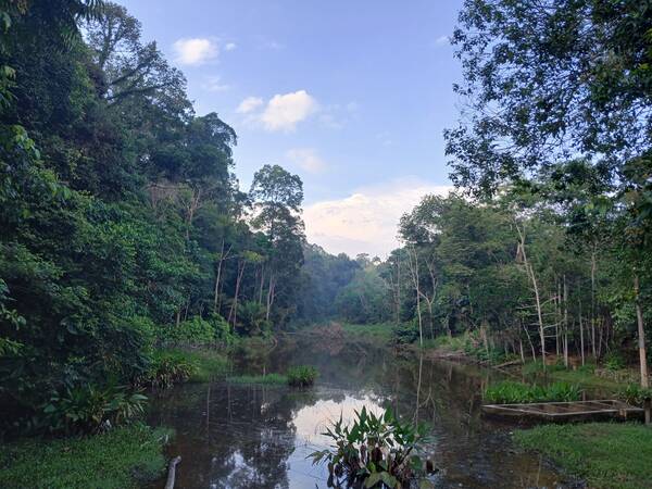 Tebing utara Tasik Ghazali, menghadap Hutan Simpan Kekal / Pendidikan Alam UKM, 2025