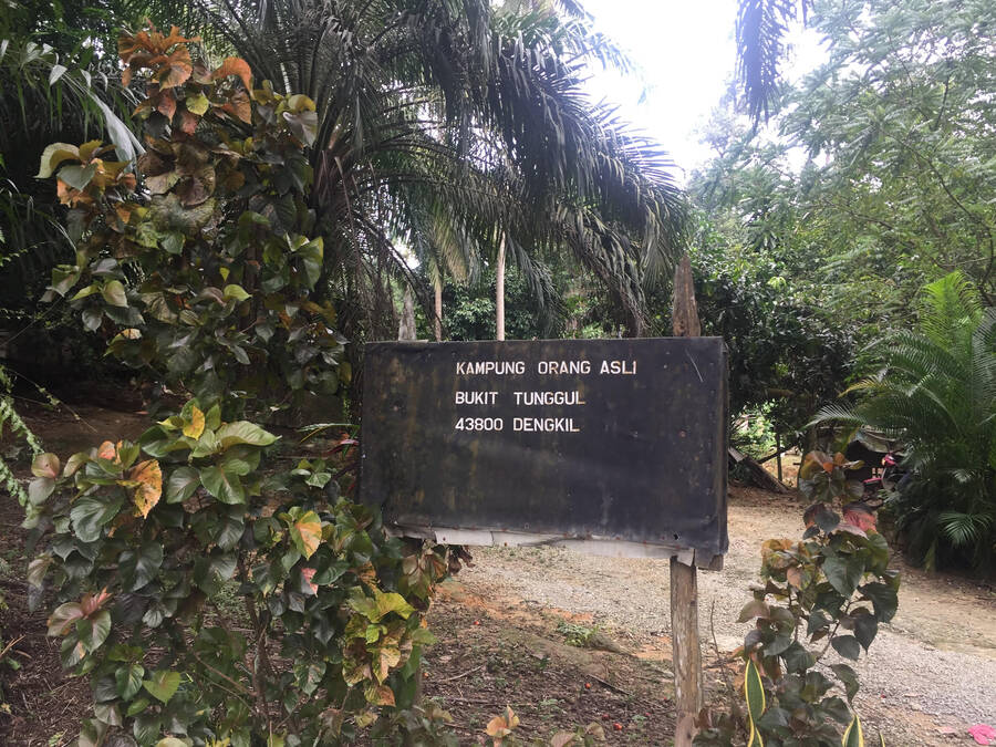 bukit-tunggul-unnamed-1.jpg