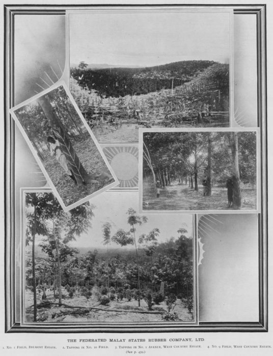 fms-estates-1908.png