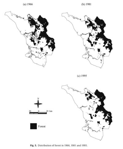 Distribution of forest in 1966, 1981 and 1995