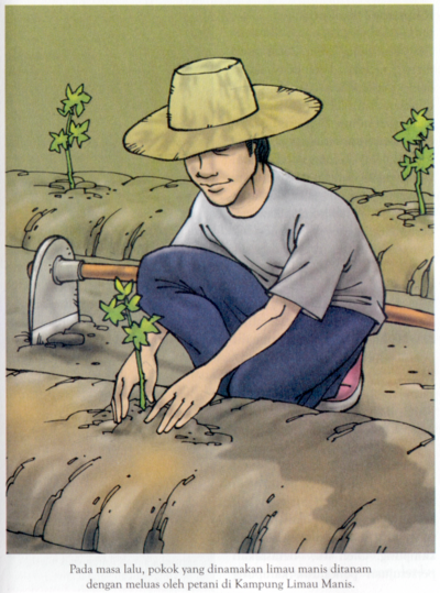 Kebun Limau Manis