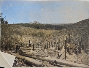 11. Ladang Belmont