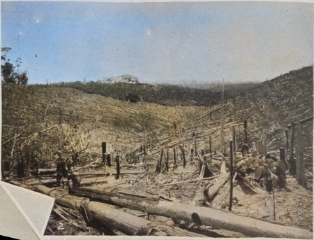 11. Ladang Belmont 11. Ladang Belmont