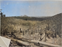 gambar:ladang-belmont-1908-02-colorized.png