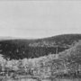 ladang-belmont-1908.png
