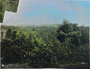 gambar:ladang-westcountry-belmont-1908-colorized.png