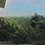 ladang-westcountry-belmont-1908-colorized.png