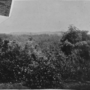 ladang-westcountry-belmont-1908.png