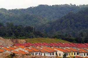 Houses are creeping ever closer to the lush green slopes of the Ayer Hitam Forest Reserve in Selangor. – Picture by Lim Tow Ken