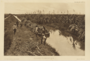 gambar:sugar-plantation-1907.png