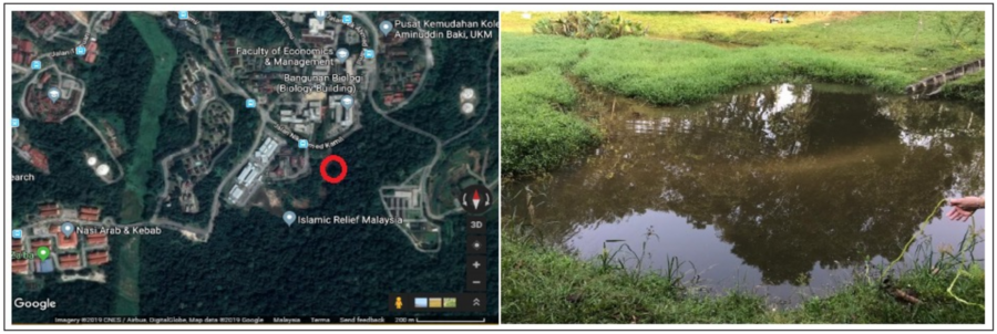 tasikghazali-rajah1.png tasikghazali-rajah1.png