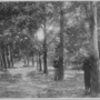 westcountry-estate-1908-tapping.png