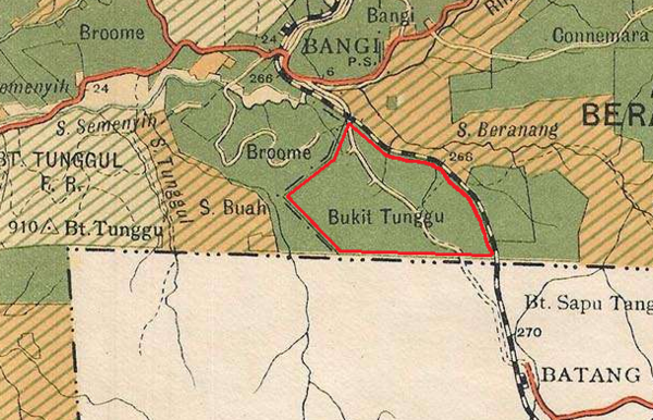 Peta Bukit Tunggu Estate (ditandakan merah), 1929