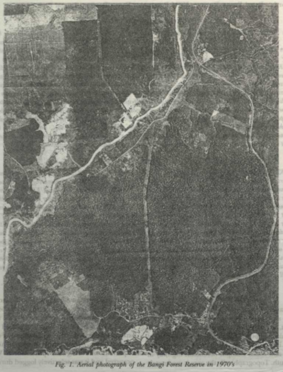 Fig. 1: Aerial photograph of the Bangi Forest Reserve in 1970's