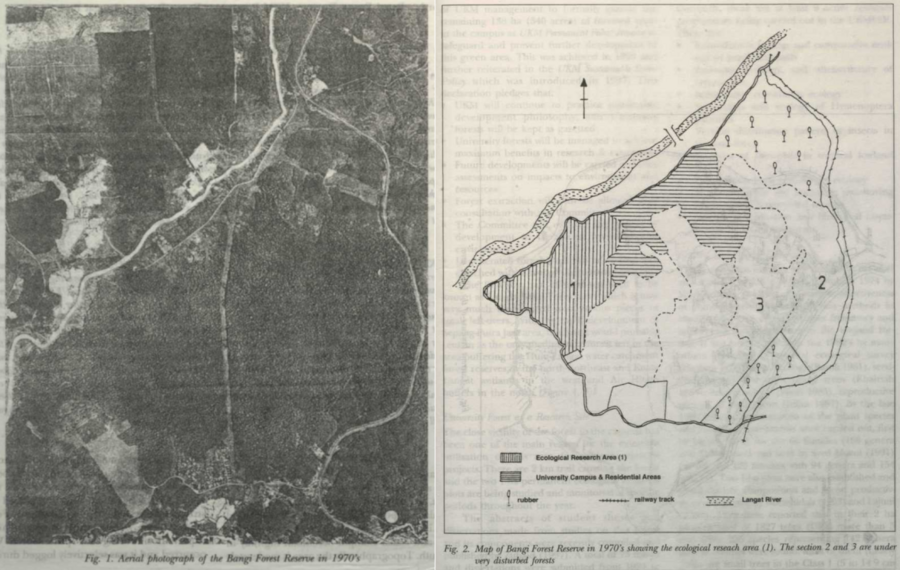 20. 1960-1970: Perkembangan di Hutan Simpan Bangi